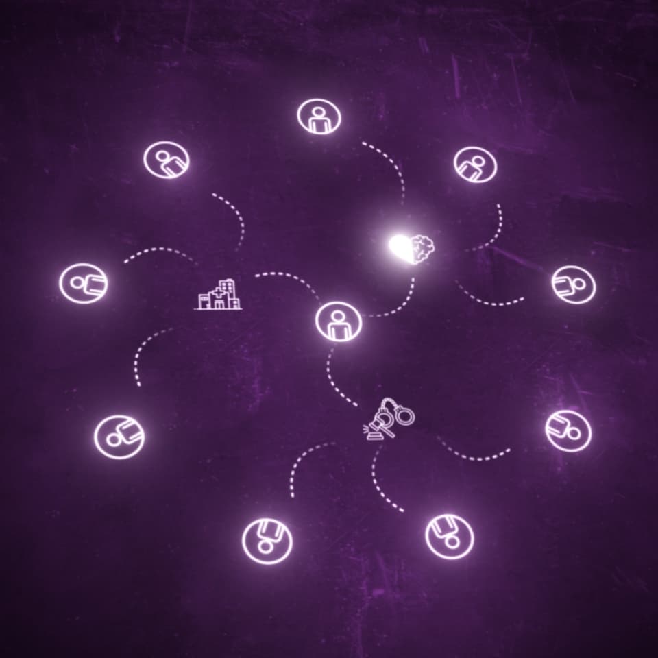 SMI Spotlight — 6